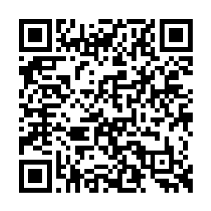 最主要的是火辣椒的打扮可以说是雷人雷到家了二维码生成