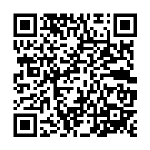 最主要的是这时候的猪应该还没有那么多催肥的小药吃二维码生成