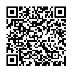 最亲近也最了解彼此知道我为什么会跟着你们一起来吗二维码生成
