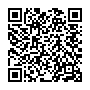 最佳导演的竞争甚至比最佳影片和最佳男主角还要激烈二维码生成