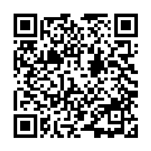 最佳男配角部门的巨大悬念绝对可以称得上是最大亮点二维码生成
