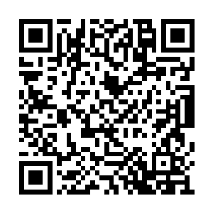 最佳艺术指导这样竞争激烈的部门杀出一条血路二维码生成