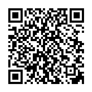 最关键的是……在惊悚乐园这种玩家个人特色异常鲜明的游戏中二维码生成