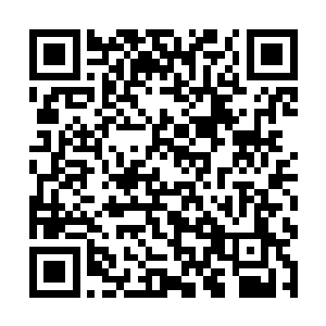 最关键的是他还在迪亚菲斯的卧室里找到了一个暗格二维码生成