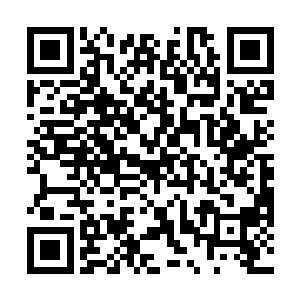 最关键的是铁甲盘虫是这么多大域主里面唯一的母域主二维码生成