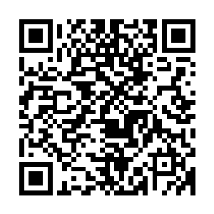 最初他们看苏凡等人的穿着都认为苏凡等人都没什么牛逼的身份二维码生成