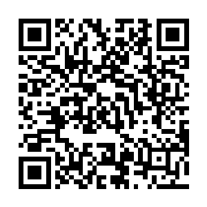 最前排的保姆机器人压倒负责看守人类的军用机器人时二维码生成