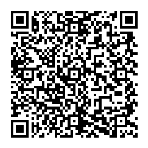 最前方一名原本应该是迫击炮的高手挥动手中伸缩钢棍啪的一下打在一个刚举起石头要砸的暴徒手腕上二维码生成