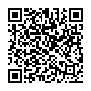 最前方的那名全身都笼罩在一层深红色铠甲内的人翻身下马二维码生成