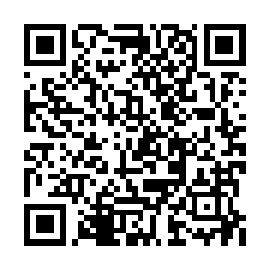 最前面冲过来的那几个人也感受到了情况的不同二维码生成