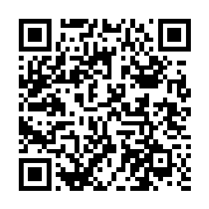 最厉害的的就是被子阳真挂在嘴里的乾道友和胡道友两位二维码生成