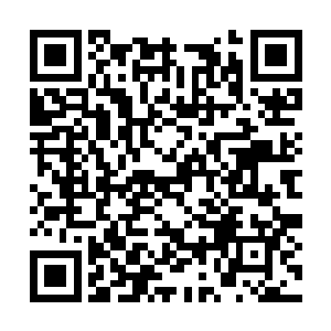 最可靠的办法就是让所有的仙兽进化成为远古神兽二维码生成