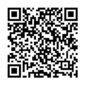 最后一个出场的是洪涛本人所在的新街口中学篮球队二维码生成