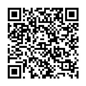 最后一个洞天……寻常天仙在这样情况下也只能赌命了二维码生成