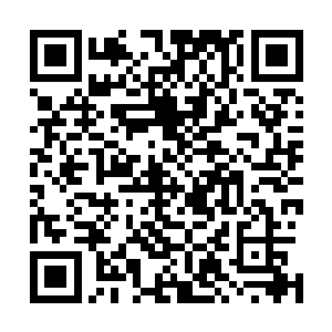 最后一排坐着个穿篮球衣的高个子……三间教室像是复制品二维码生成