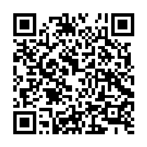 最后一次见他是在张和尘所住的小区外面的胡同里二维码生成