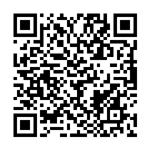 最后一瞬间又愣是把崩拳的钢劲儿给化成了一股子绵劲二维码生成