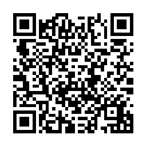 最后一缕长剑的血色剑气已溶入圣火炼血的气轮中二维码生成