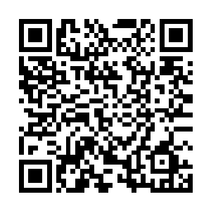 最后一遍合作奏响了天赐恩宠这首祝福亡者的曲子为止二维码生成