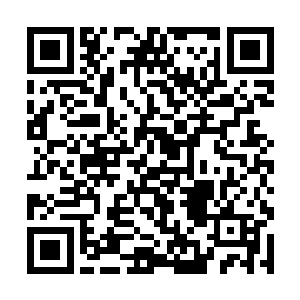 最后一道更是从毛利家康身上所披的铠甲上爆发而出二维码生成