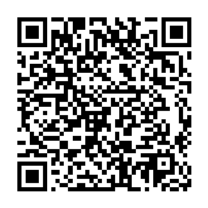 最后不得不带着老婆岳父岳母小叔子小姨子这么一大家人一起来到太夏二维码生成