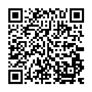 最后两个人又说了一下其他的方面的问题一直说了一下午的时间二维码生成