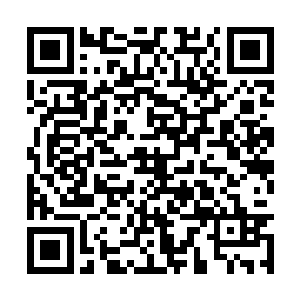 最后他们心中还对那个他们的救命恩人充满了好奇二维码生成