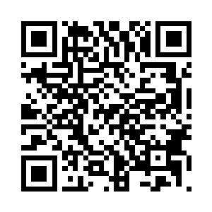 最后他们的视线被场中格斗的两人吸引了过去二维码生成
