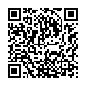 最后他把桌子上的电子大字报卷起来给阿尔戈斯叼走了二维码生成