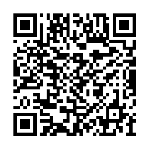 最后会输给一个才十七八岁出头的毛头臭小子呢二维码生成