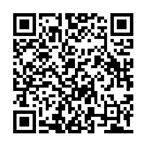 最后伤势过重而缺乏防备败在叶青的冒险突袭中二维码生成