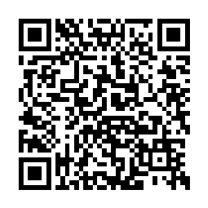 最后依旧是斩杀了三个神尊高手之后才被灭掉的二维码生成