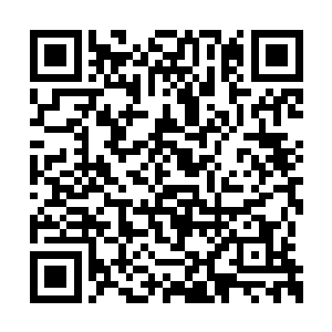 最后冥王佣兵团只有龙宝和田林两人没有站起来二维码生成