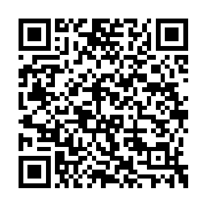 最后几个人一个瞬移直接来到了极冰冰层的下方二维码生成