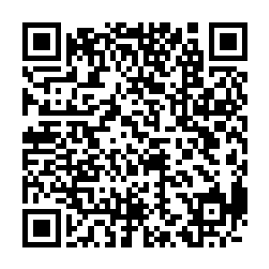 最后出了许紫烟等圣级大修士显露出来的修为是天尊后期巅峰之外二维码生成