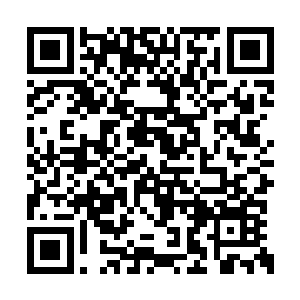 最后化作一个一尺余长的旗幡被许紫烟一把抓住二维码生成