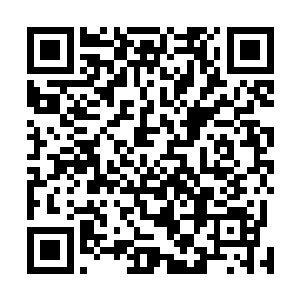最后又在大堂之上凭借出众的智慧和口才一步步反败为胜二维码生成