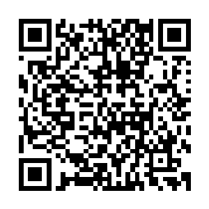 最后只能带着满脑子的疑惑以及一脸的不甘心缓缓的倒了下去二维码生成