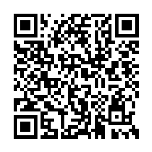 最后哗啦啦的狠狠砸到金睛玉雪卷毛狮子鼻子上二维码生成