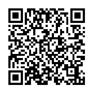 最后哪怕是郭文通狂叫着悍然用双手来抓住了吞蛇的剑身二维码生成