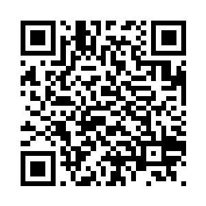 最后回头看了一眼站在关塞城墙之上二维码生成