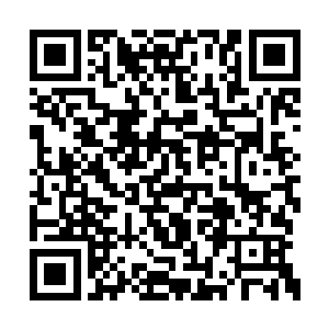 最后在一家叫浩沙的健身会所办了张至尊会员卡二维码生成