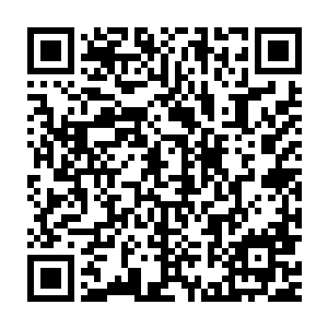 最后在火龙王的斡旋之下许德拉最终免去了死罪而变成了逐出龙域二维码生成