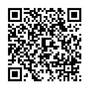 最后她居然沦落到给约翰ˉ麦克蒂尔南ohtiernz的经纪人打电话二维码生成