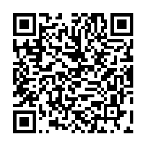 最后她连地上那些被雷霆天尊当做垃圾的东西也没有放过二维码生成