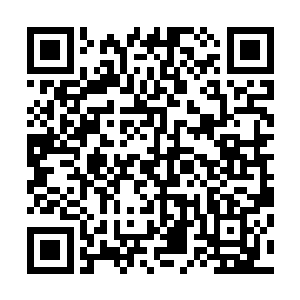 最后就是利用这个报表发现了这座看起来不起眼的近海岛屿二维码生成