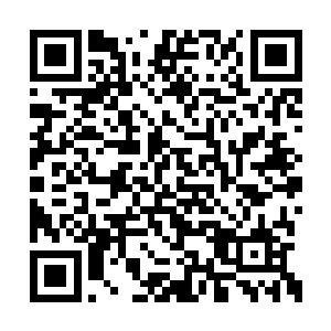 最后就是藏在这不祥之地边缘上的一个山洞之中二维码生成