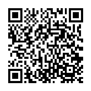 最后就是这仙气本身的磅礴能量和万界王庭那浓厚的灵气氛围二维码生成