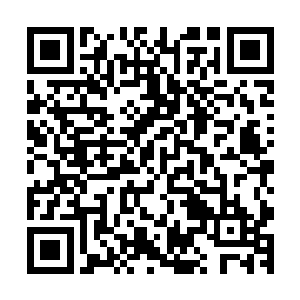 最后山姆在一个比较宽阔周围没有什么人烟的山脚下停了下来二维码生成