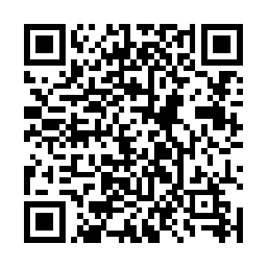 最后巫王鼎化为了一道道精纯无比的巫力在紫府中盘绕二维码生成